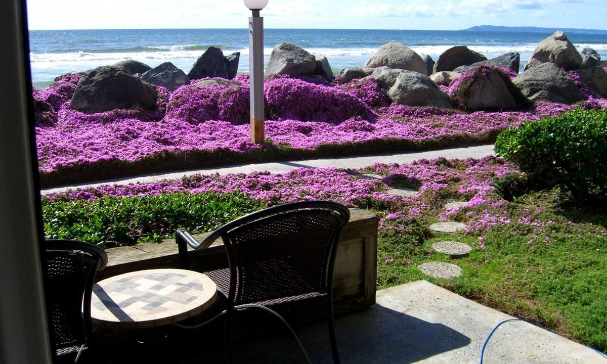 Imperial Beach Condo | Beach Front Condo Nothing Between You & The Ocean! STEPS TO THE BEACH👙