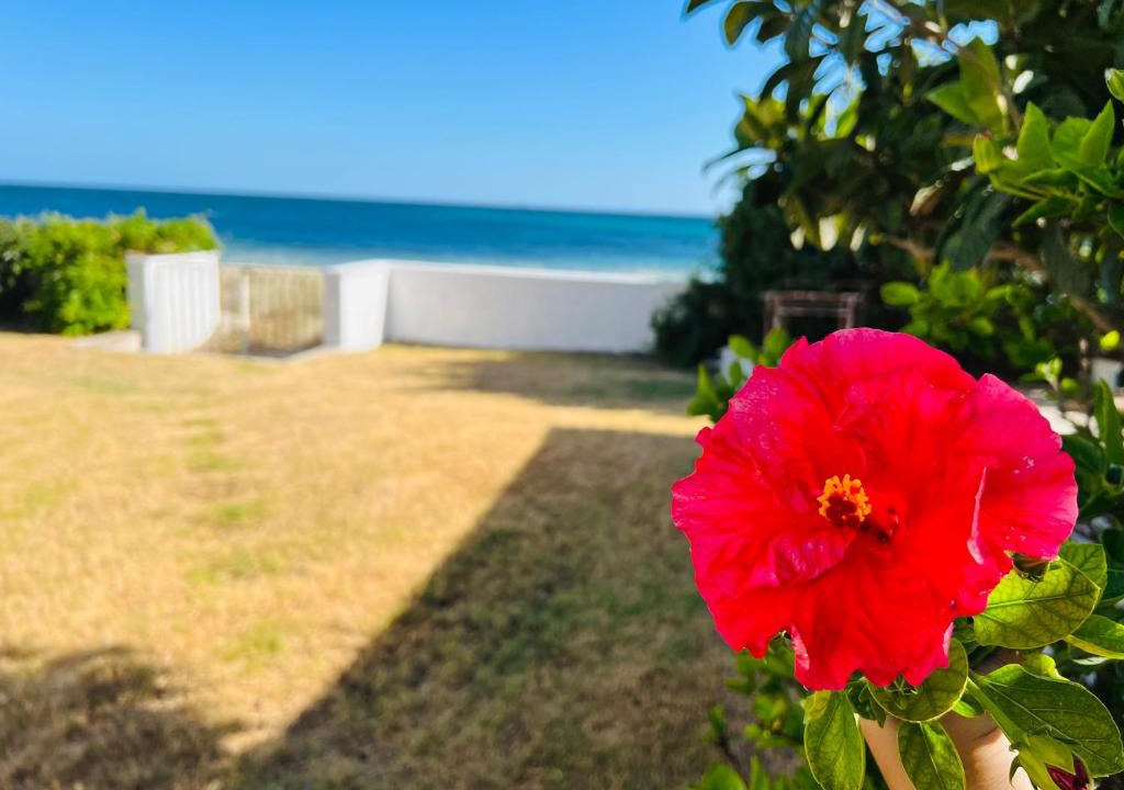 Su Forti House | Beach Loft Poetto