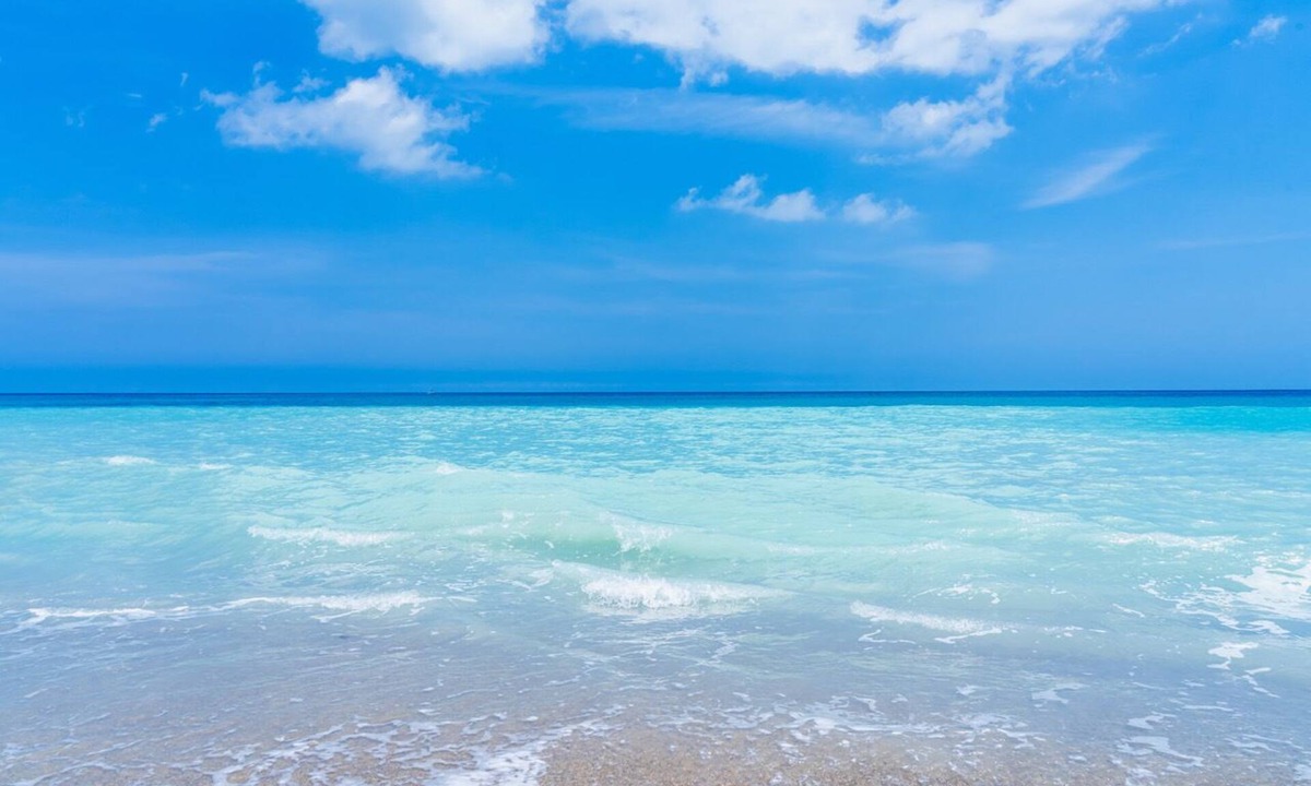Floridana Beach House | Beach Paradise! New 3/2 home, dog friendly, overlooking wildlife refuge!
