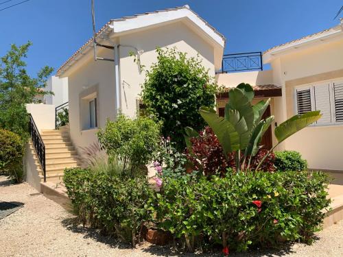 Latchi Villa | Beach Villa Sofia