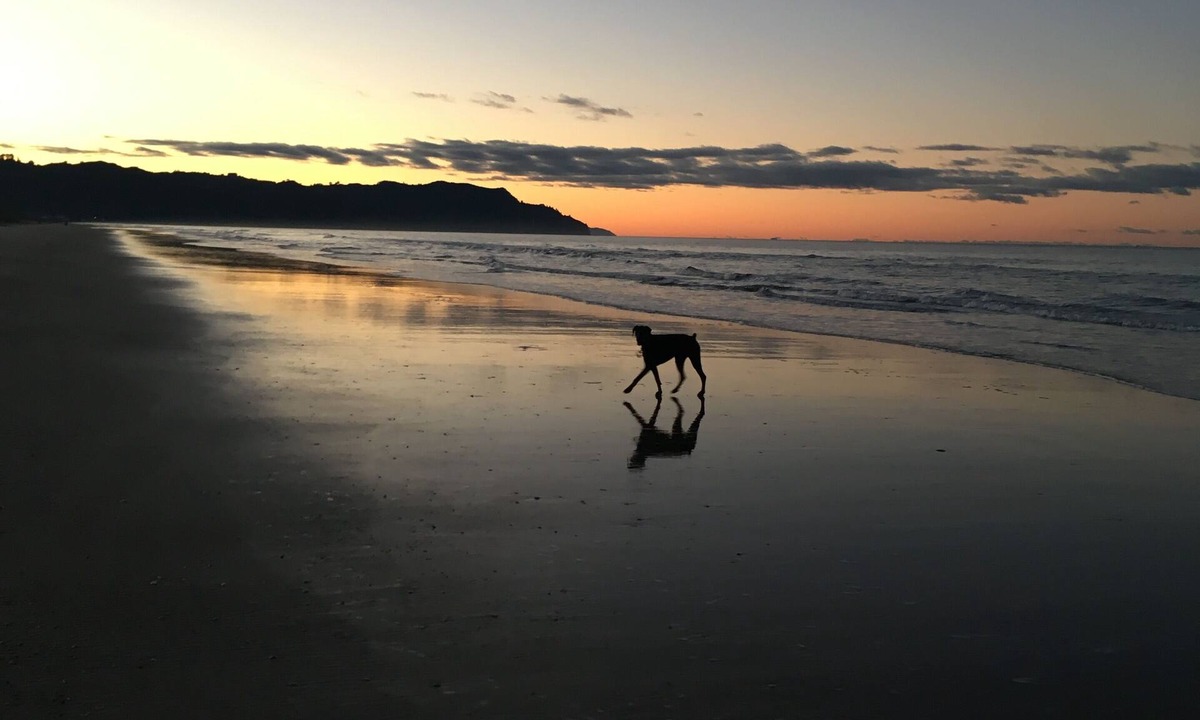 Waihi Beach House | Beached on Broadway - Perfect for Couples, Families, Friends & the Family Dog