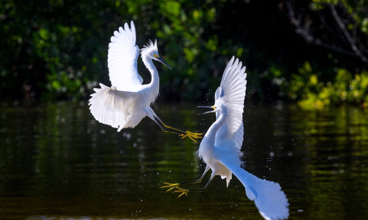 Sanibel Condo | Beachfront 2BR Condo at Casa Ybel Resort: Corner Unit, Patio-to-Beach Walk-Out