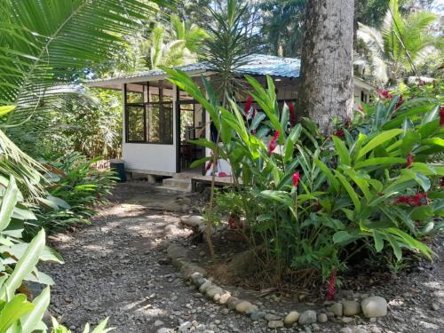 Punta Uva Apartment | Beachfront Apartment Punta uva