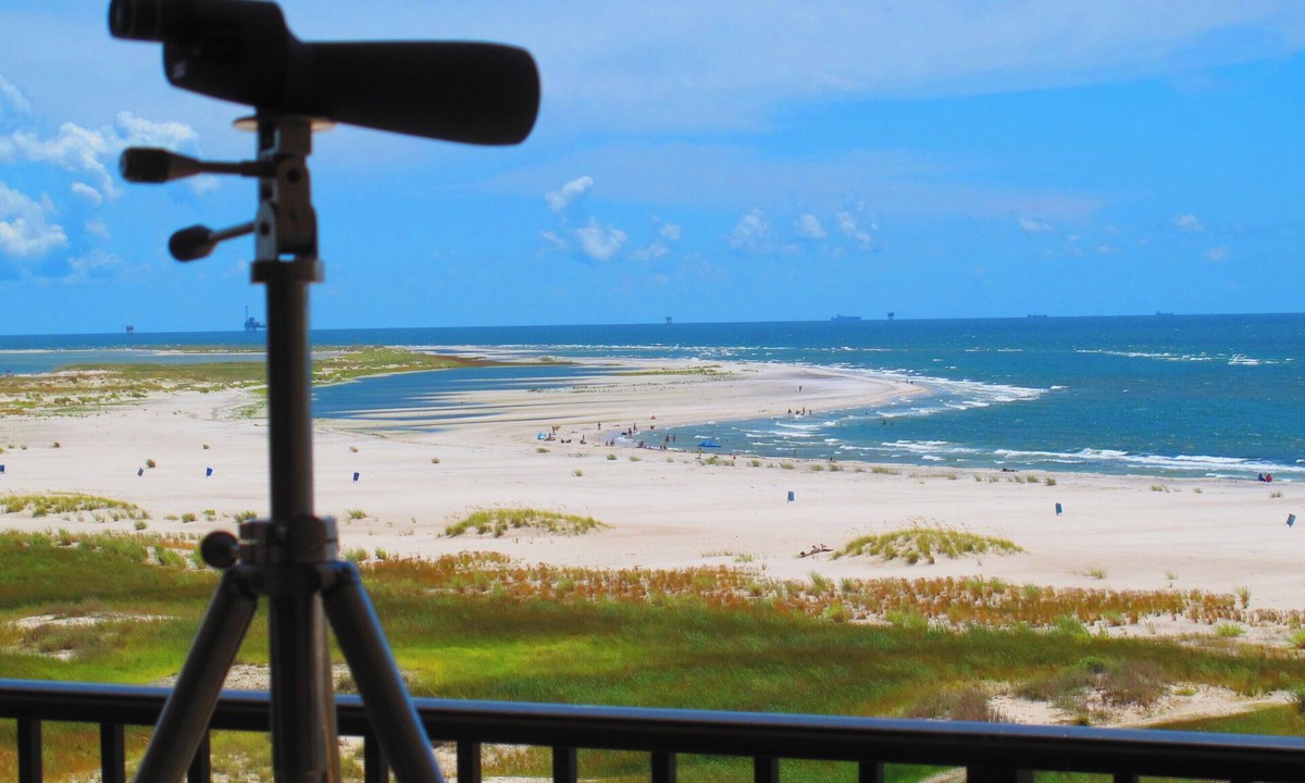 Dauphin Island Condo | Beachfront, indoor/outdoor pools. Best view on Gulf Coast! NO FEES OF ANY TYPE.