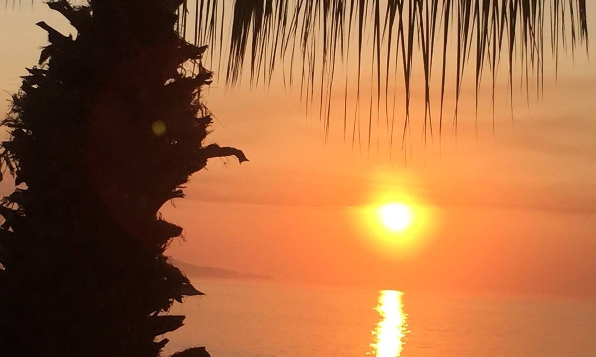 San Jose del Cabo Condo | Beachfront One-Bedroom Condo with Stunning Views in San José del Cabo