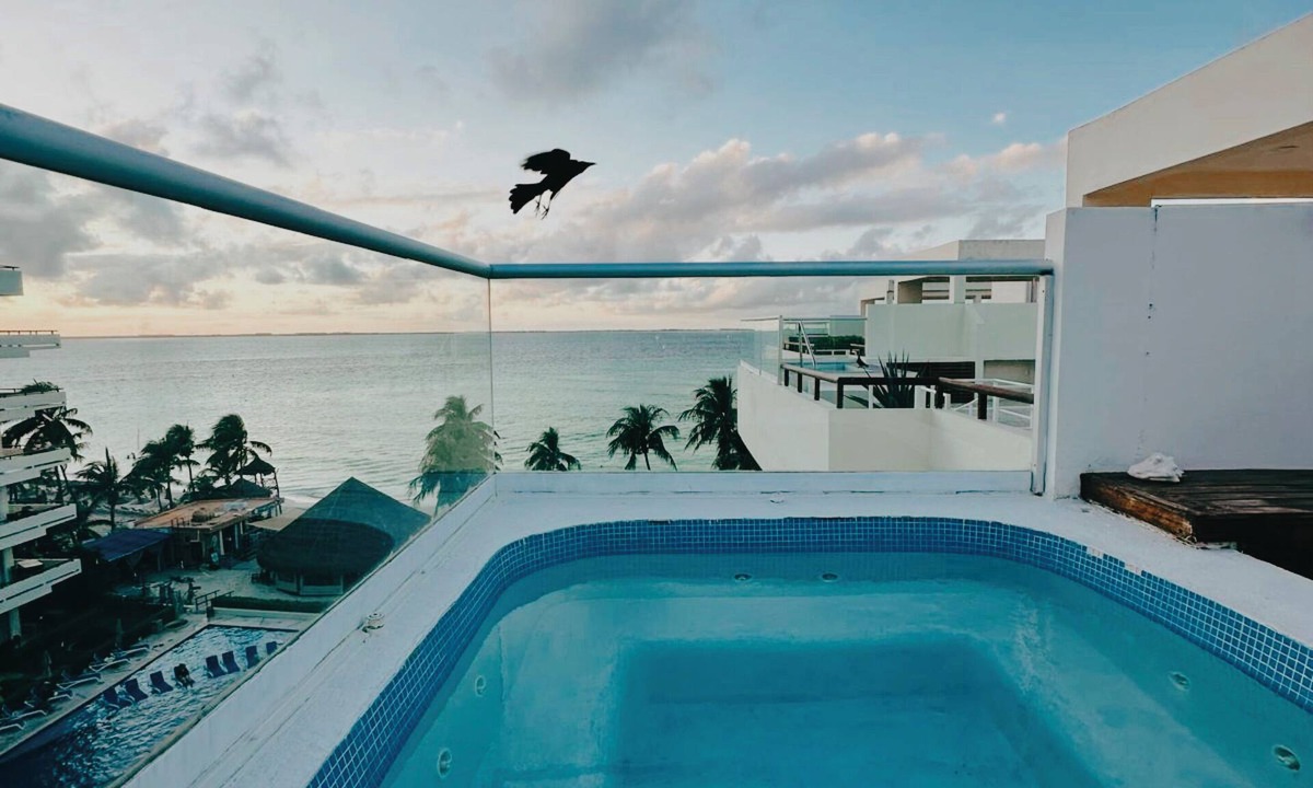 Centro - Supmza 001 Hotel | Beachfront Penthouse on the Best Beach - Playa Norte