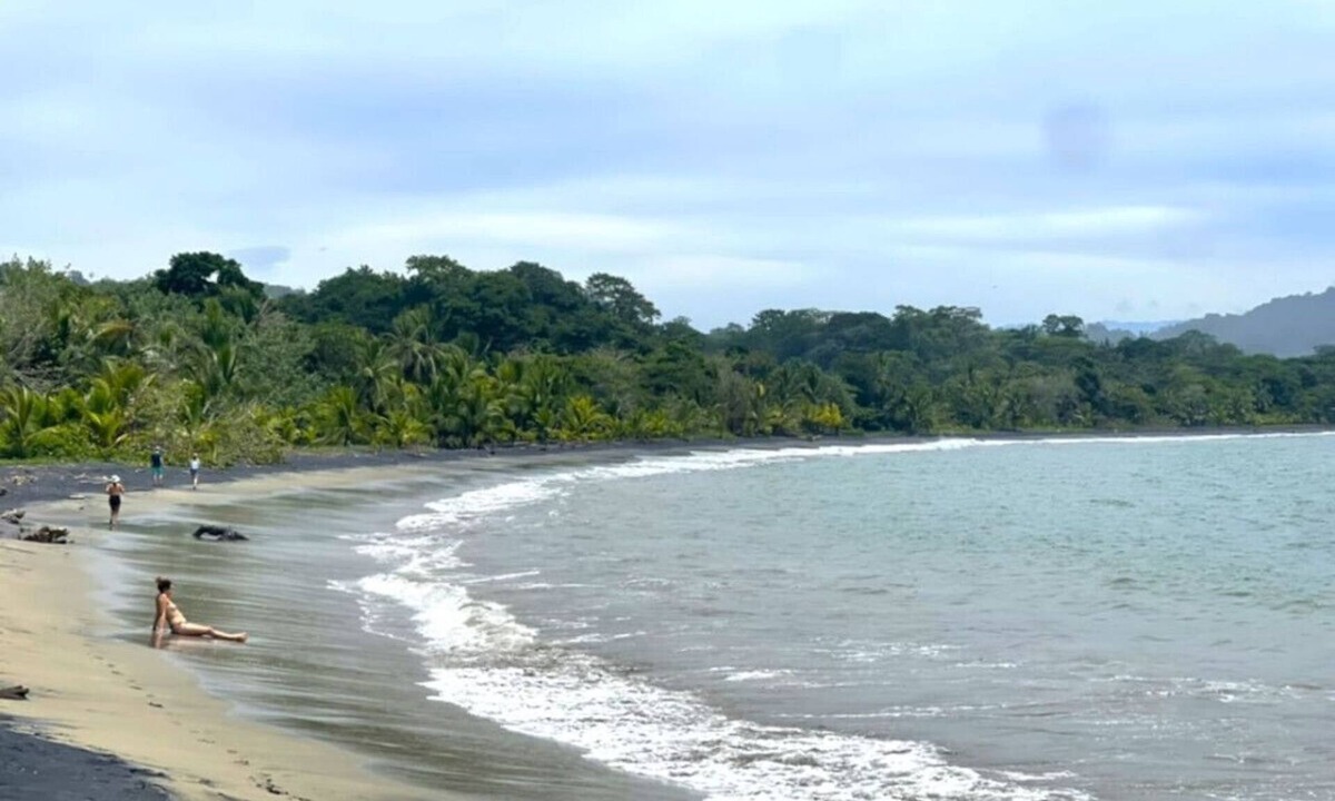 Manzanillo House | Beachfront | Pool Access | Walk Everywhere