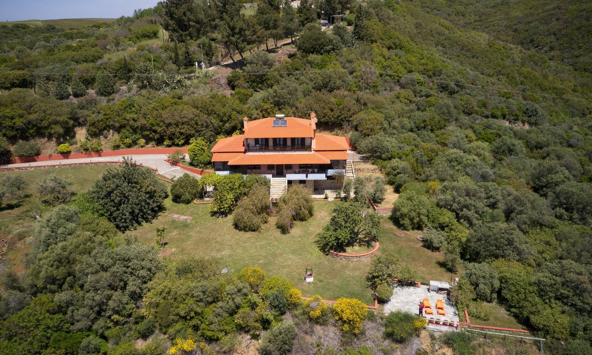 Aristotelis Villa | Beachfront villa with huge garden, 3br, Halkidiki