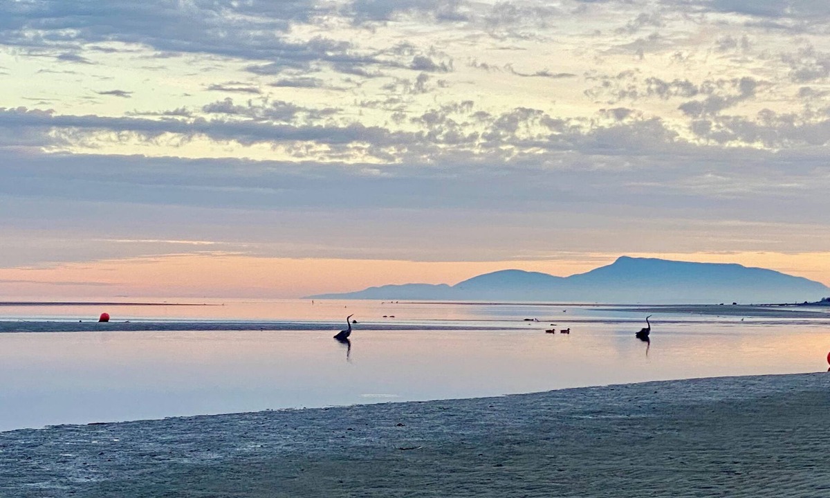 Boundary Bay House | Beachside Living. Steps from the BEACH! Pet friendly