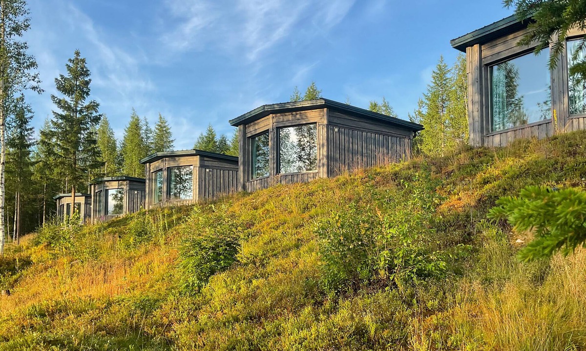 Kuhmo Apartment | Bear Centre