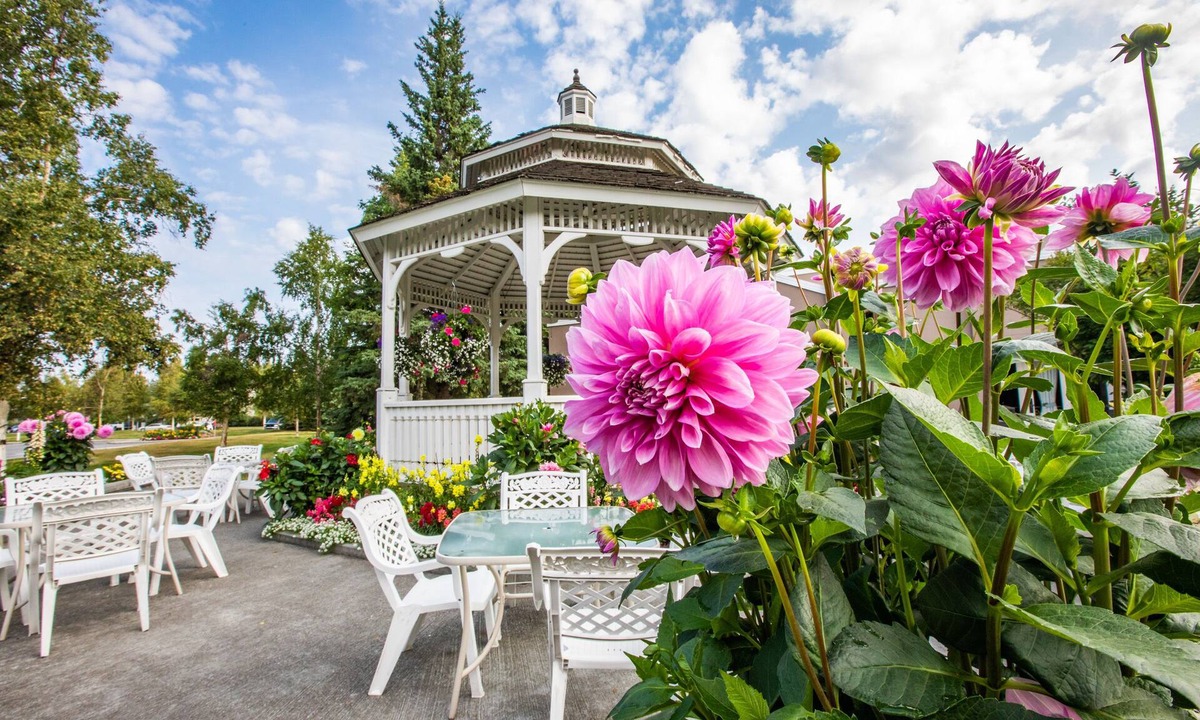Fairbanks Hotel | Bear Lodge