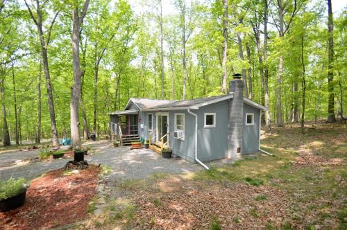 Great Cacapon House | Bear Necessities -Forget your Worries!