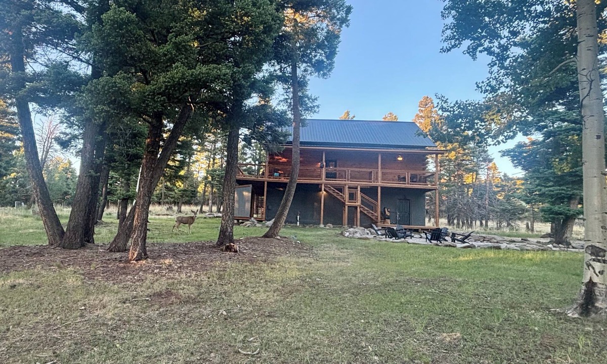 Angel Fire Cabin | Bear Necessities Lodge on Ski Mountain Fire Pit, Large Deck, Grill & Wildlife
