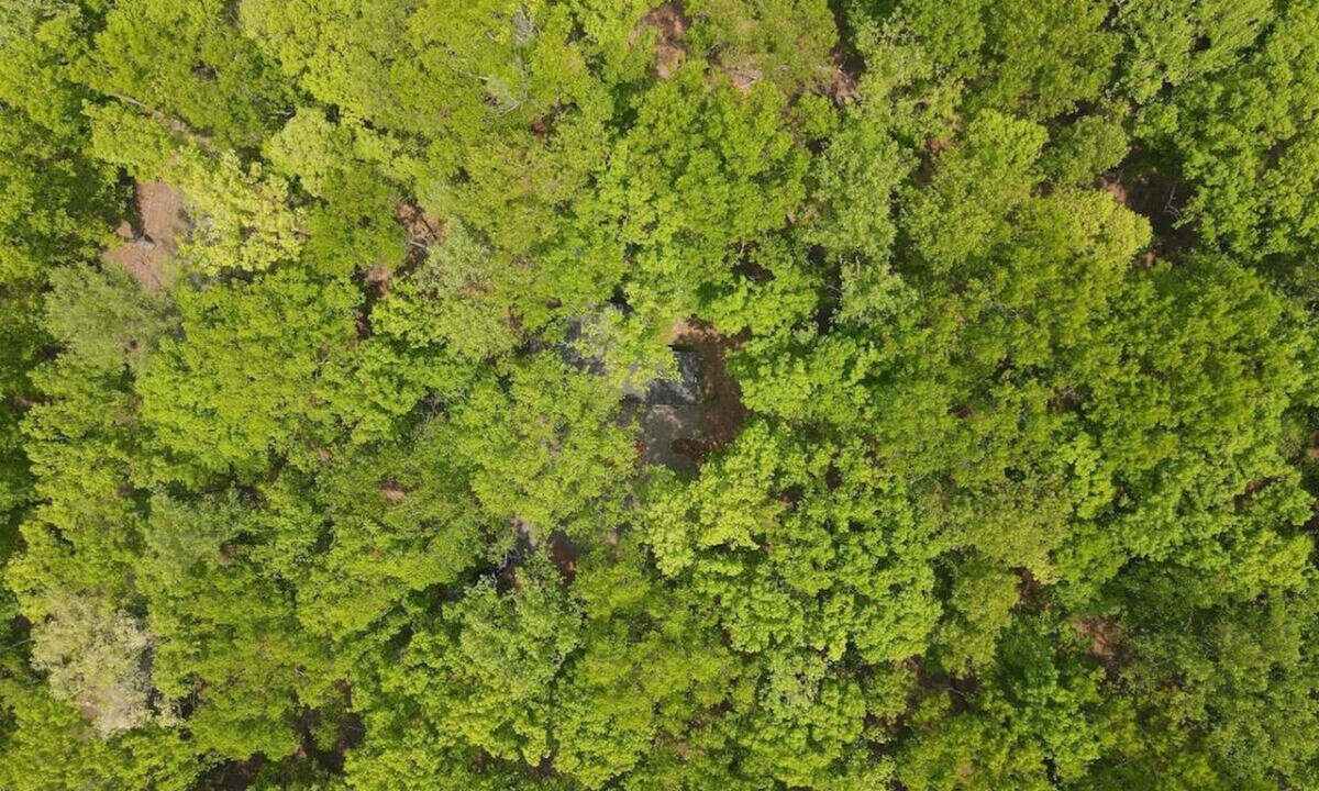Great Cacapon Cabin | Bear Necessities -Forget your Worries!
