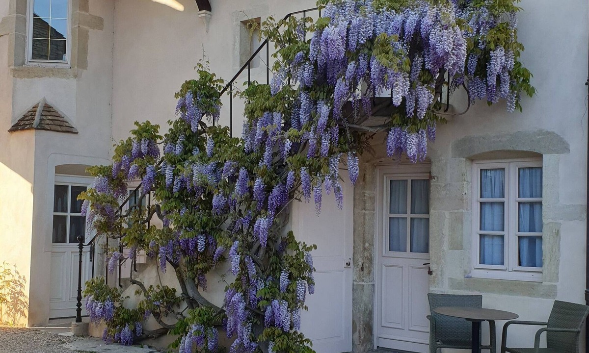 Beaune Hotel | Beaune Hotel