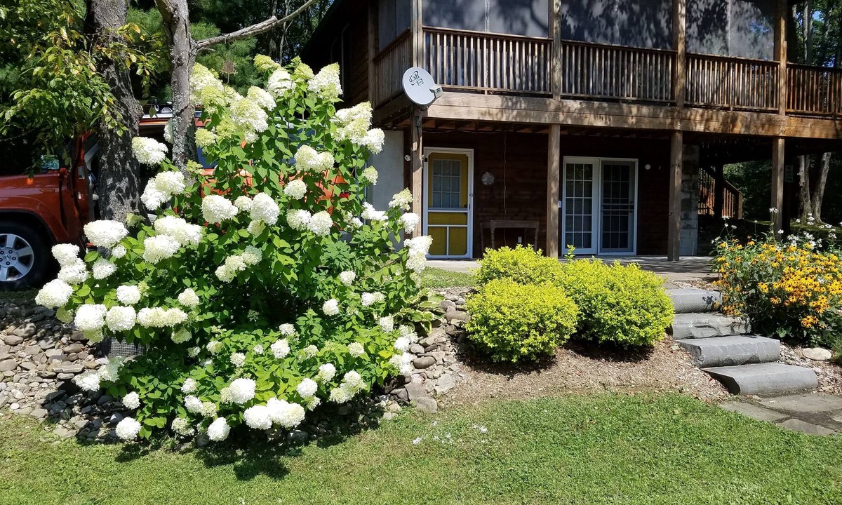 Great Valley House | Beautiful 2000 Sq. Ft., Ski Chalet - Seasonal Rental - 4 miles to Holiday Valley