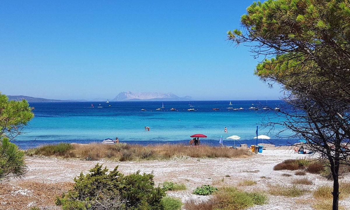 Schifoni Apartment | Beautiful apartment for 6 guests with A/C, WIFI, TV, patio and pets allowed