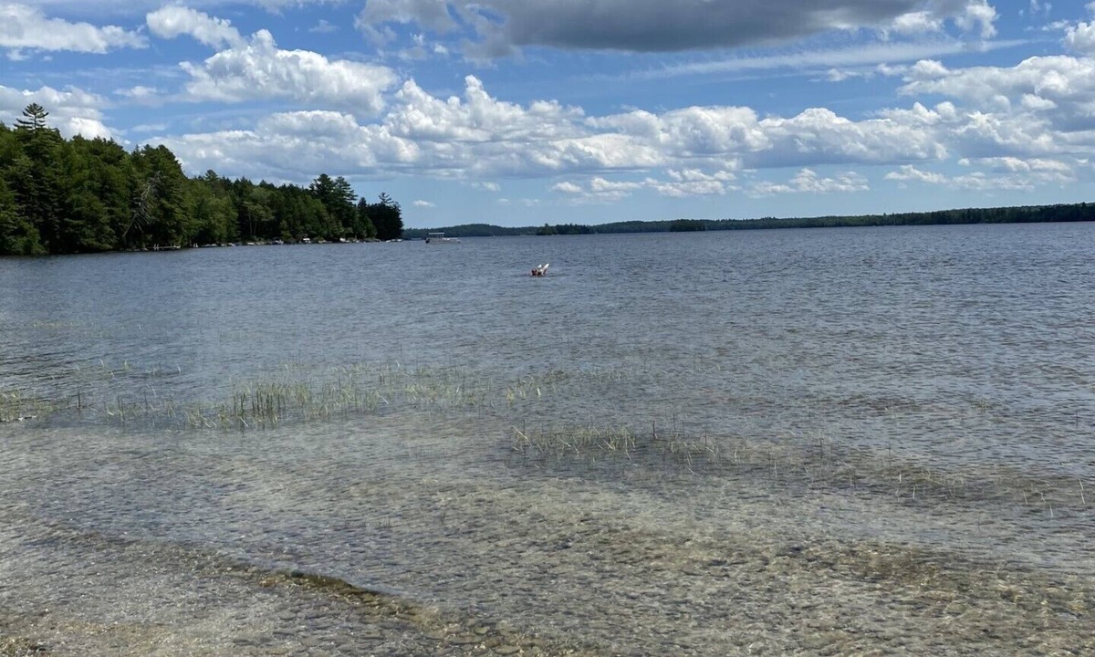 Ellsworth House | Beautiful private beach area within steps from the modern updated log home