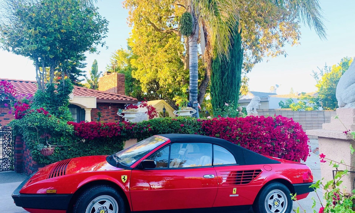Centerville House | Beautiful Spanish style home- Garden. Fremont, California.