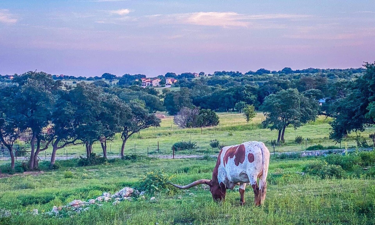 Florence House | Beautiful Texas Hill country, amazing views, and farm living