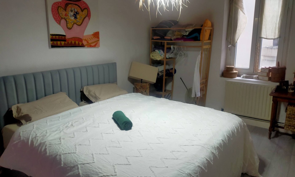 Perrache Apartment | Bed and breakfast, 2 steps from Perrache train station! (From 1 to 5 people)