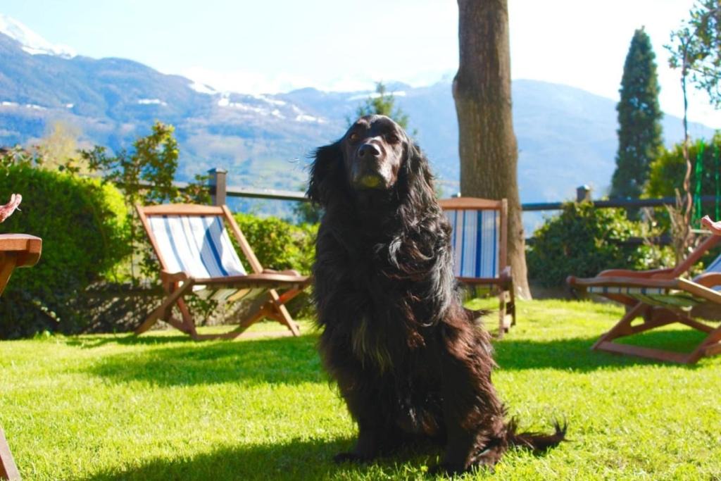 Aosta House | Bed & Breakfast Chez Berry