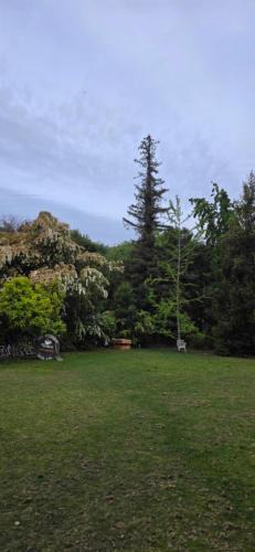 Talagante House | Bed&Breakfast