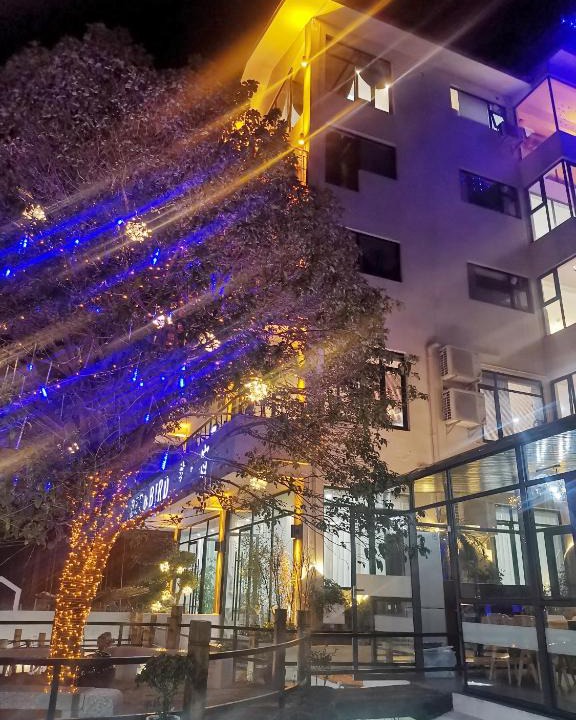 Yangshuo Hotel | Bee&Bird Art Hostel