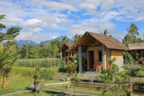Mekarsari House | Bee Camp Bedugul by AGATA
