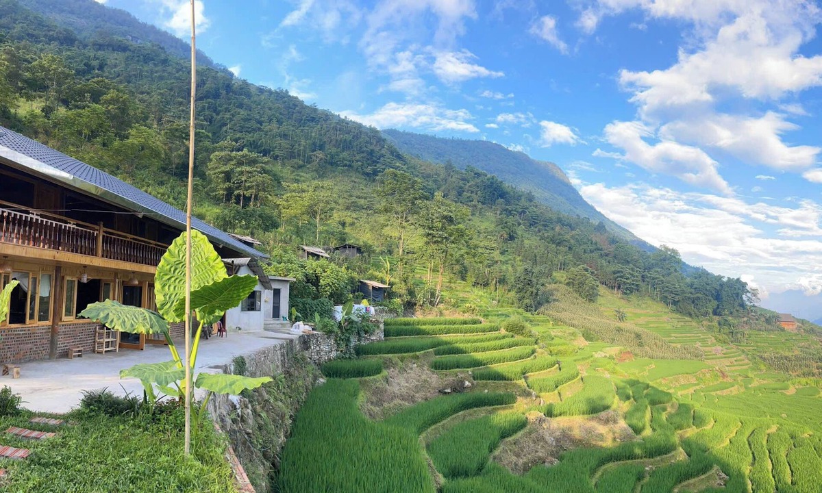 Sa Pa Hostel | Bees Homestay Sapa & Trekking
