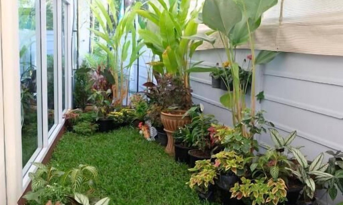 Chiang Rai Hotel | Bees Smile Hotel