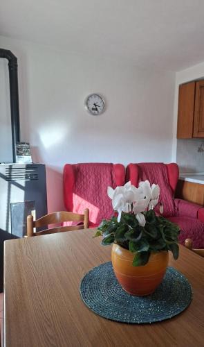 Feltre House | Belvedere 160