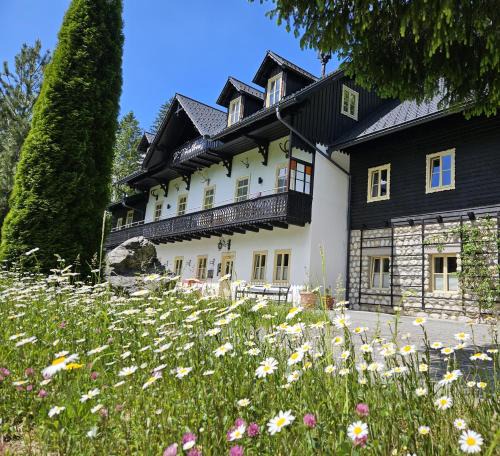 Hinterstoder Apartment | Bergnest im Prielkreuz - Großes Appartment im Ski und Wandergebiet