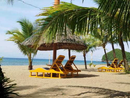 Sipalay Resort | Bermuda Beach Resort