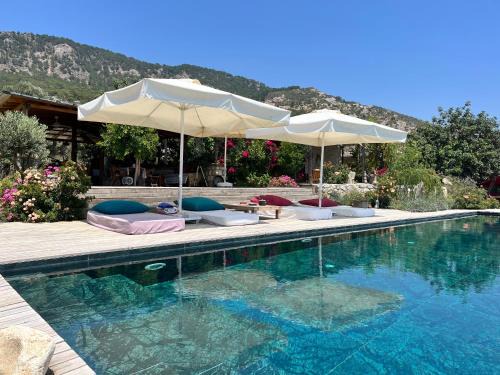 Patara Hotel | Beso Patara