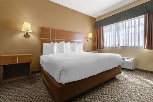 Shamrock Hotel | Best Western Plus Shamrock Inn & Suites