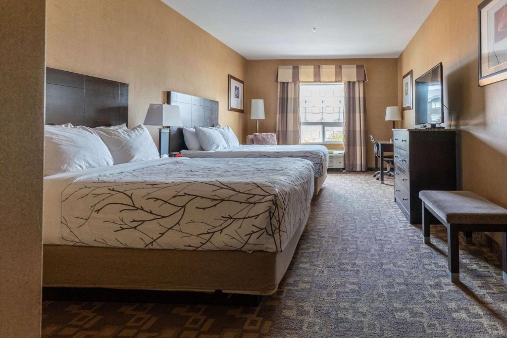 Southeast Edmonton Hotel | Best Western Plus South Edmonton Inn & Suites