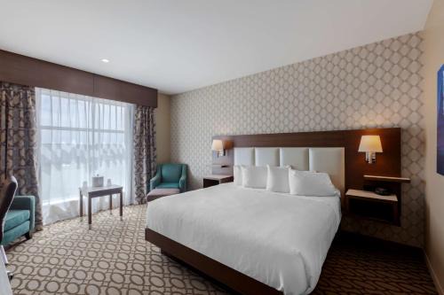 St. John's Hotel | Best Western Plus St. John's Airport Hotel and Suites