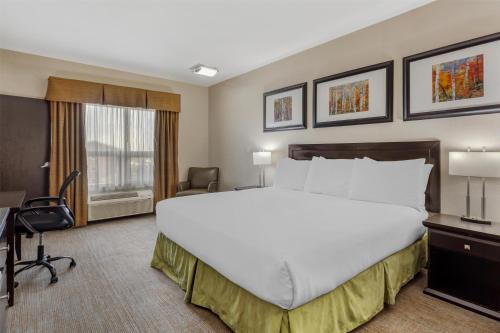 Wainwright Hotel | Best Western Wainwright Inn & Suites