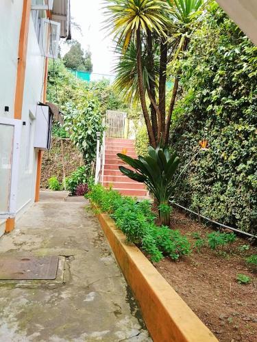 Ooty Bed & Breakfast | Bethany stay