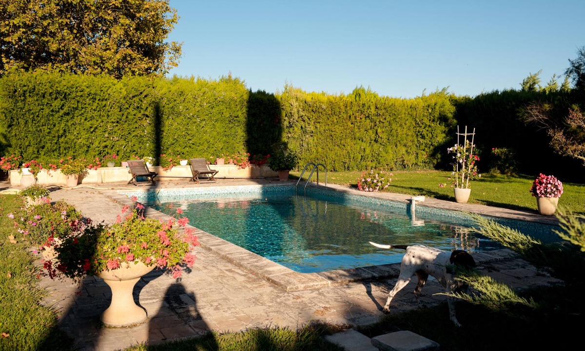 Saint-Martin-de-Crau Apartment | Between Camargue and Alpilles, part of an air-conditioned farmhouse with swimming pool