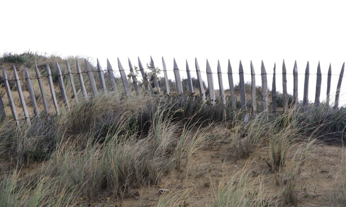 La Tranche-sur-Mer Villa | Between dunes and forest, 200 metres from the beach