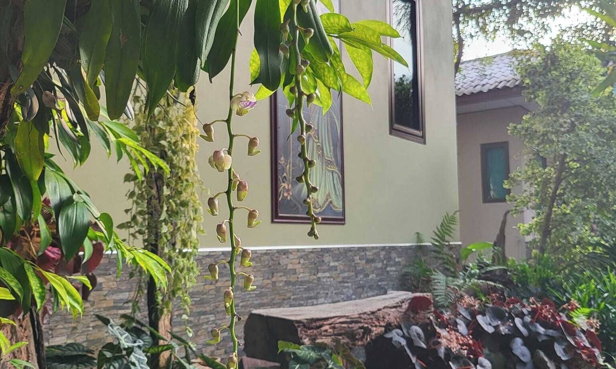 Trat Hotel | Big House Resort