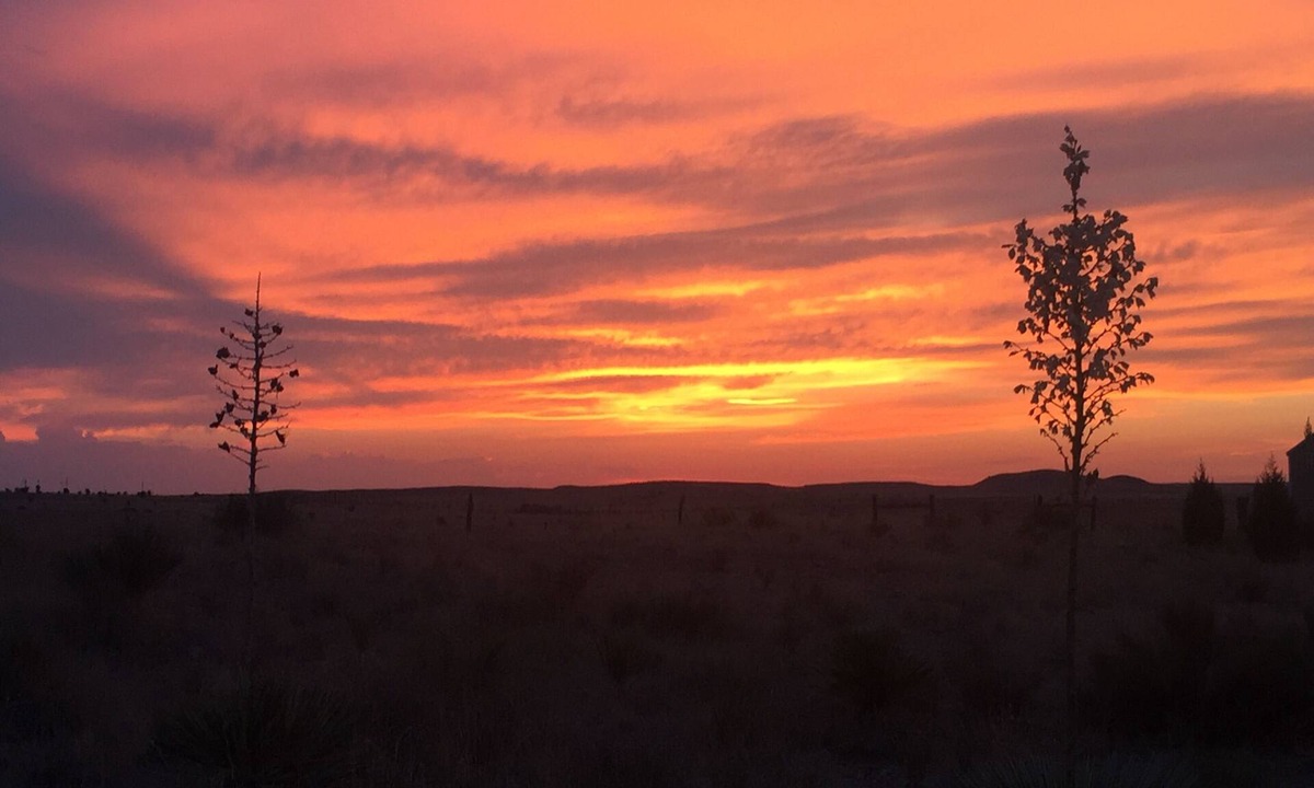 Marfa House | Big Sky Marfa: 3Bed 2.5Bath, desert views, modern amenities, 1 acre NW of town