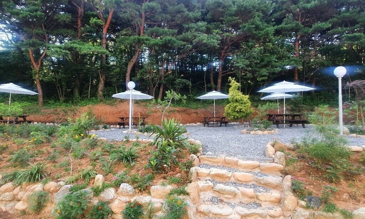 Sokcho House | Bigso stay