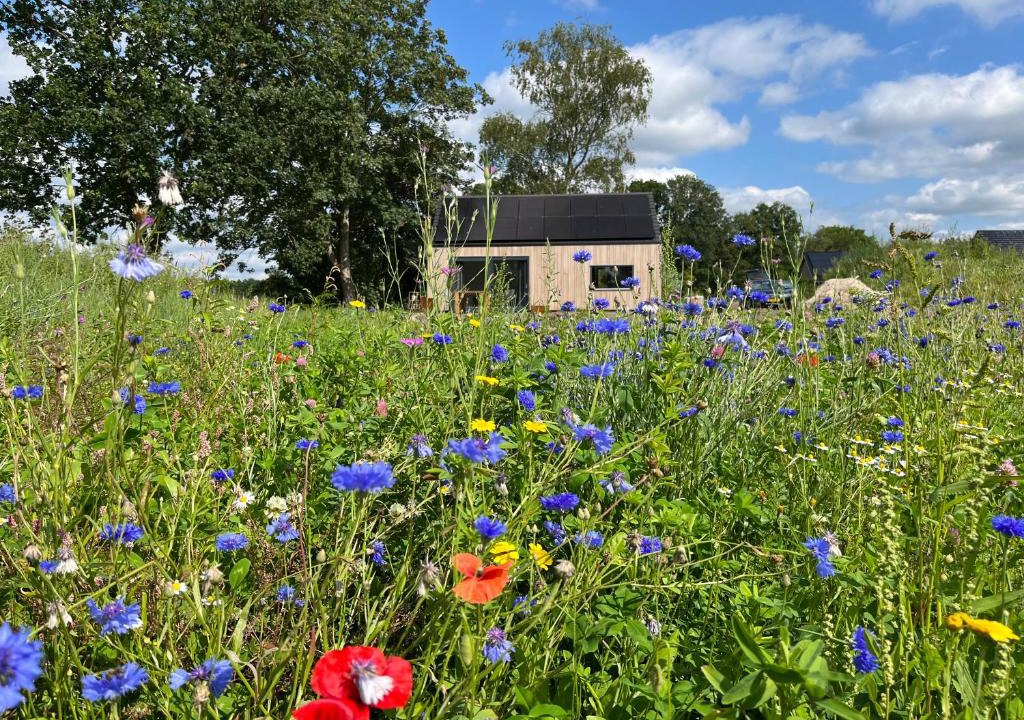 Appelscha House | Bij De Kei Appelscha