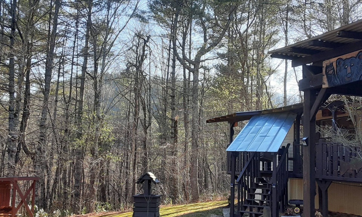 Rabun Gap Cabin | BILLY BEAR -3 BED 2 BATH wifi 3 roku tv,s dvd players sleeps 4
