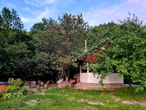 Recea Ski Chalet | Biniște -Tiny House by the river