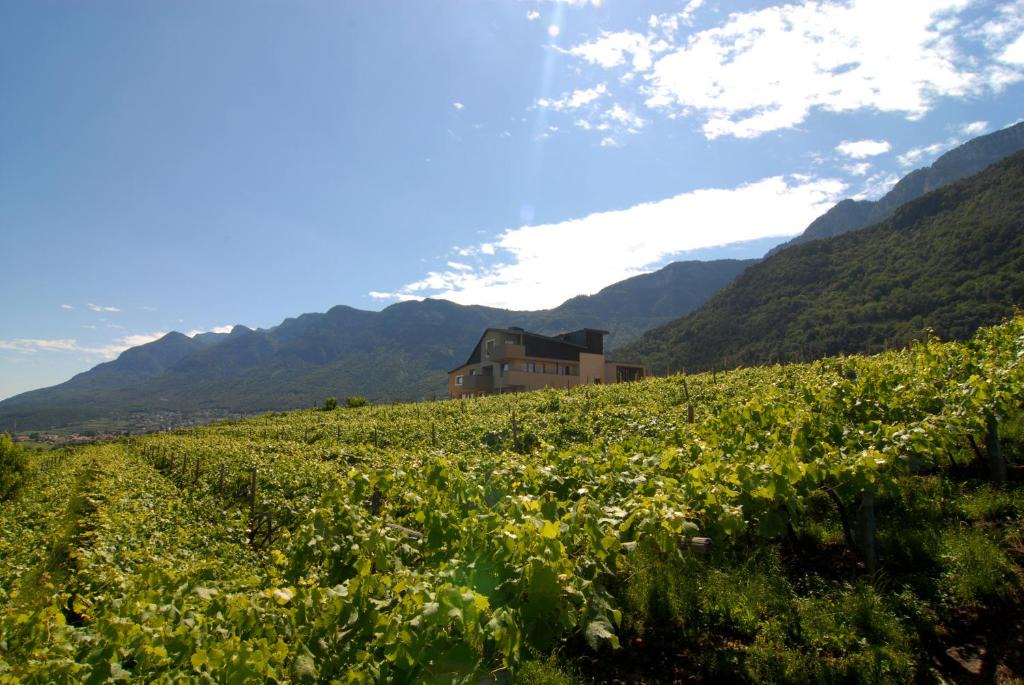 Pianizza Di Sopra Apartment | Biobauernhof St. Quirinus