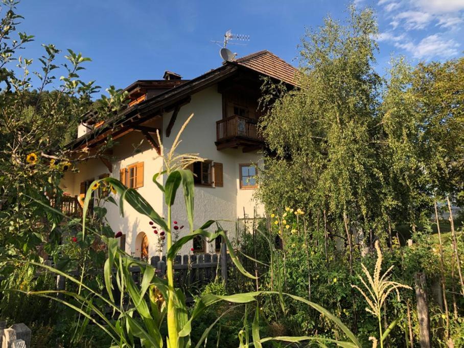 Renon Apartment | Birbamergut